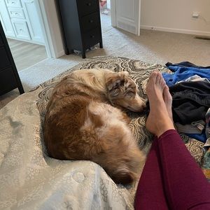 Meet your Posher, Julia